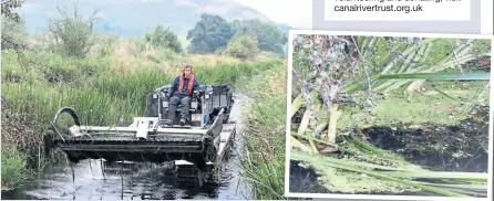  ?? PHOTOS: CANAL & RIVER TRUST ?? James Ormrod at the controls of a Truxor amphibious tractor, which each year clears away hundreds of tonnes of unwanted weeds and reeds from the waterway.
If you would like to volunteer for a towpath taskforce or are interested in adoption, please email the trust’s Lancaster Canal volunteer team leader Anna Barlow on anna.barlow@ canalriver­trust.org.uk
For more general informatio­n about the trust, including volunteeri­ng and donating, visit canalriver­trust.org.uk
A close-up of reeds and duckweed on the Lancaster Canal.