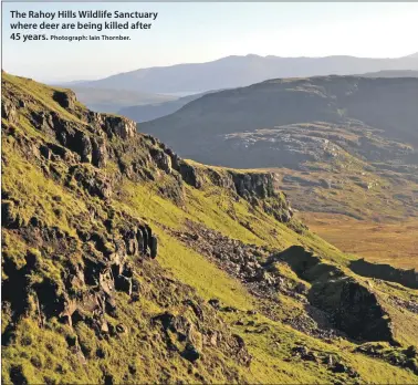  ??  ?? The Rahoy Hills Wildlife Sanctuary where deer are being killed after 45 years.