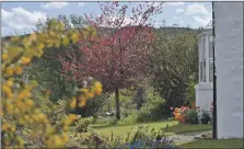  ??  ?? You can enjoy a virtual tour of the Haigs’ gorgeous garden while raising money for Children 1st.