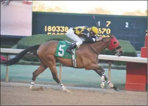  ?? The Sentinel-Record/File photo ?? RECORD BREAKER: Jockey Calvin Borel rides Ivan Fallunoval­ot to win the King Cotton Stakes at Oaklawn Park on Jan. 30, 2016. Under jockey Luis Quinonez, Ivan Fallunoval­ot set a track record Sunday at Remington Park in Oklahoma City as he won the...