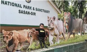  ?? — aFP ?? Even animals aren’t spared: a child posing with cutouts of lions at the Gir National Park and sanctuary in sasan Gir, India. Eight lions at a zoo in hyderabad recently tested positive for Covid-19.