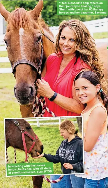  ??  ?? Interactin­g with the horses helps clients deal with all kinds of emotional issues, even PTSD