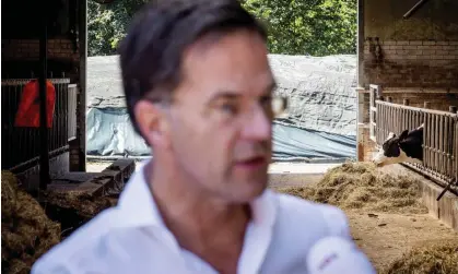  ?? Photograph: Koen van Weel/EPA ?? The Dutch prime minister, Mark Rutte, after meeting farmers to discuss nitrogen plans in July.