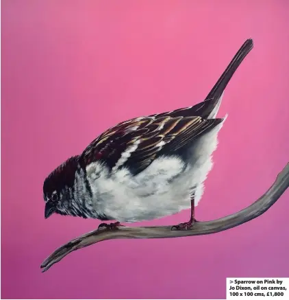  ??  ?? > Sparrow on Pink by Jo Dixon, oil on canvas, 100 x 100 cms, £1,800