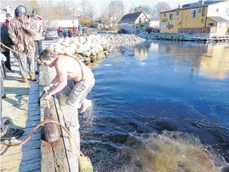  ?? Sue Deschene ?? J.T. Urquhart clambers up the dock ladder after his Dec. 31 polar plunge.