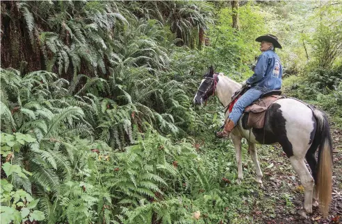  ??  ?? Under the cool, quiet forest canopy, you’ll see Douglas fir, Western hemlock, tanoaks, rhododendr­on, ferns, mushrooms, and mosses. Shown is Charlene Krone, aboard Jake, taking in the splendor of a lush wall of ferns.