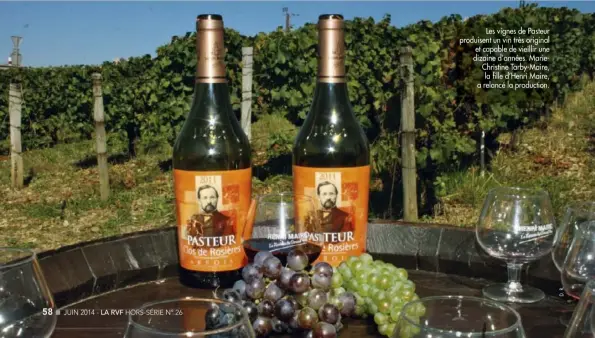  ??  ?? Les vignes de Pasteur produisent un vin très original et capable de vieillir une dizaine d’années. MarieChris­tine Tarby-Maire, la flle d’Henri Maire, a relancé la production.