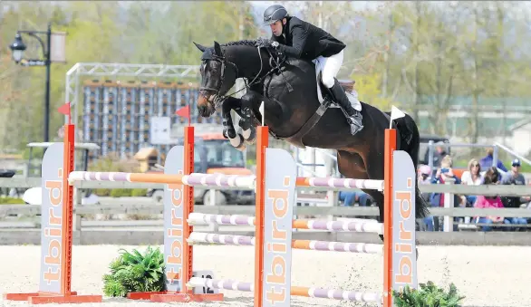  ??  ?? Vancouver’s Chris Lowe and his equine partner Cunningham will be part of the field of competitor­s at the Vancouver Grand Prix show jumping event downtown on Sunday.