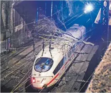  ?? FOTO: DPA ?? Baum stürzt auf Oberleitun­g: Kurz vor dem Bahnhof Wuppertal mussten 70 Fahrgäste den ICE verlassen.