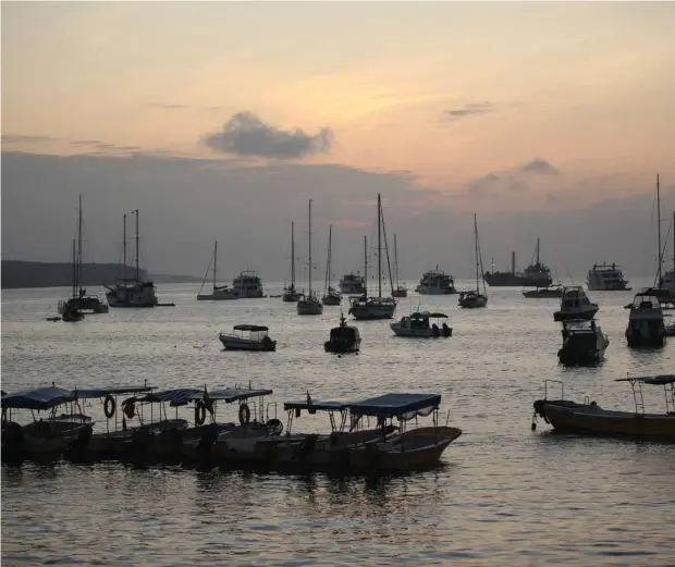  ??  ?? Vida isleña, comida, parques, atardecere­s sobre los barcos que se mecen en Puerto Ayora, centro de operacione­s turísticas de las Islas. /
Island life, eats, parks, sunsets over the rocking boats in Puerto Ayora, tourism operations hub of the islands.