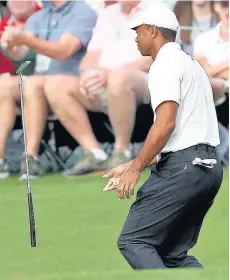  ??  ?? FRUSTRATIO­N: Tiger Woods flips his putter after missing a chance for a birdie on the 14th hole during the second round of the Masters