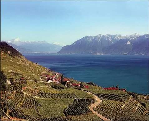  ?? The San Diego Union-Tribune/TNS/JOANNE AND TONY DIBONA ?? The Lavaux terraced vineyards were planted nearly 1,000 years ago on dizzyingly steep slopes along Switzerlan­d’s Lake Geneva. The area is a UNESCO world heritage site.