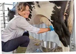  ??  ?? Dairy delight: Jane Fryer tries her hand at milking Buttercup LL A D O G Y N E J s: e r u t c i P