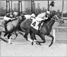  ?? LAUREN KING/COGLIANESE PHOTOS ?? King of Dreams posts an upset winning the Oakland Park Stakes Oct. 9 over the Gulfstream Tapeta.