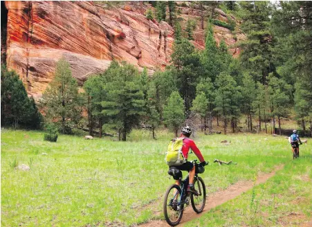  ?? PHOTOS BY SCOTT MORRIS VIA THE ASSOCIATED PRESS ?? Lee Blackwell and Chad Brown bikepack on the Arizona Trail, south of Flagstaff, Arizona.