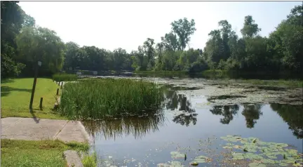  ?? SUE KNICKERBOC­KER FIELD — THE MORNING SUN ?? Lake Isabella voters on Tuesday approved a millage for lake and river restoratio­n. The Chippewa River at Riviera Park on Carmen Drive is full of muck that will be dredged following the millage vote.