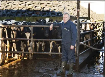  ??  ?? Gerald Quain, Chair of ICMSA Dairy Committee, on his farm.