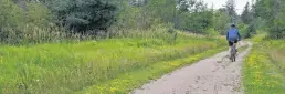  ?? DANIEL BROWN • LOCAL JOURNALISM INITIATIVE REPORTER ?? Frank MacEachern bikes down a stretch of the Confederat­ion Trail in Mount Stewart on July 17.