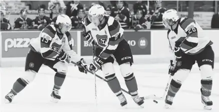  ?? JEAN LEVAC/OTTAWA CITIZEN ?? Joseph Blandisi, left, Ryan Van Stralen and Dante Salituro of the Ottawa 67’s scramble for the puck in a recent match against the Mississaug­a Steelheads. The team is on an improved pace that may put them at 24 wins and 54 points, an improvemen­t of 8...