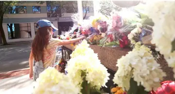  ??  ?? Sophie Davis, 10, from Fredericto­n, lays flowers at a shrine that has been created outside Fredericto­n Police Headquarte­rs in Fredericto­n, New Brunswick. — Reuters photo