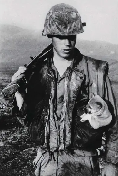  ??  ?? EL MEJOR AMIGO DEL SOLDADO Un marine con un cachorro en la base estadounid­ense de Tây Ninh, Vietnam, en 1968. Aunque los perros en el frente tenían una misión específica, también servían de apoyo emocional a los soldados.