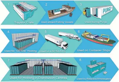  ?? SUBMITTED GRAPHIC ?? This graphic from Live Ship Ltd. explains the process that takes a lobster or snow crab crate from a fisherman’s boat into a container as part of a transporta­tion system involving state-of-the-art technology with environmen­tal controls on air and water...