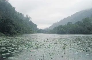  ??  ?? EVER-SOOTHING: A naturally-occurring pool in Thale Ban National Park, in Satun’s Khuan Don district.