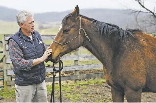  ?? PHOTOS BY LUKE CHRISTOPHE­R FOR FOOTHILLS FOURUM ?? Dr. Thomas Massie on his farm with a mix of working and semi-retired horses. Massie and his wife, Lorreta, had their beloved Zoe cremated and ashes spread on the farm. They were also able to return a portion of her remains to previous owners.