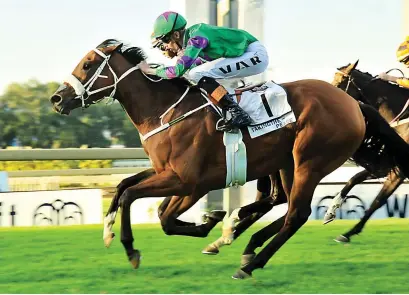  ?? Picture: JC Photograph­ics ?? STAR PERFORMANC­E. Takingthep­eace, ridden by Callan Murray, gets up on the line to touch off Green Top to win the Wilgerbosd­rift SA Fillies Classic over 1800m at Turffontei­n on Saturday. (See Back Page)