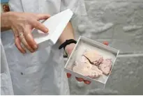  ?? ?? An employee shows a box with human brain fragments, in the laboratory of the Bispebjerg hospital in Copenhagen.