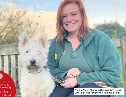  ??  ?? Canine Carer Charlotte Kemp with Thomas who is looking for love this Valentine’s Day