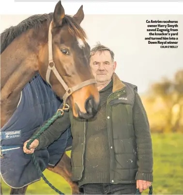  ?? COLM O’REILLY ?? Co Antrim racehorse owner Harry Smyth saved Zagnzig fromthe knacker’s yard and turned him into aDown Royal winner