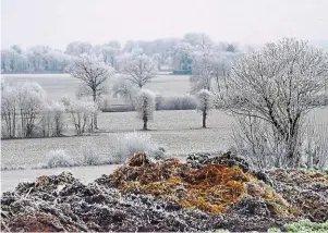  ?? | PHOTO : ARCHIVES JOËL LE GALL, OUEST-FRANCE ?? Les campagnes de l’Ouest devraient à nouveau se couvrir de gel dans les prochains jours.