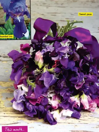  ??  ?? Bearded iris Sweet peas