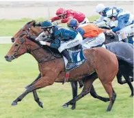  ?? Photo: Trish Dunell ?? Flyer: Consensus booms home late to win at Ruakaka.