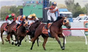  ?? TRISH DUNELL ?? Rider Troy Harris celebrates as Melody Belle wins at Hastings.