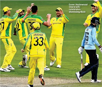  ??  ?? Gone: Hazlewood (third left) celebrates dismissing Root