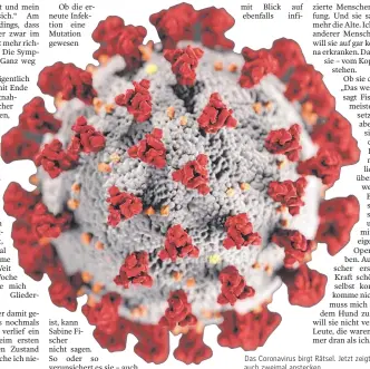  ?? FOTO: DAN HIGGINS/DPA ?? Das Coronaviru­s birgt Rätsel. Jetzt zeigt sich: Man kann sich auch zweimal anstecken.