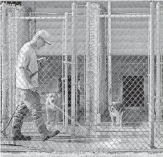  ??  ?? Jason Howell cleans the kennels at Free to Live animal sanctuary.