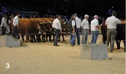  ??  ?? 3: This year, the Salers National Championsh­ip was held in the Zenith arena. The Saler is a breed indigenous to the Auvergne-RhôneAlpes region. The Salers Breed Internatio­nal Congress was also held at the show this year, with more than 200 farmers attending the congress, according to a statement by Sommet de l’Elevage. 3