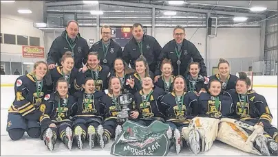  ?? SUBMITTED PHOTO ?? The Mid-Isle Wildcats pose for a team photo after winning the P.E.I. Midget AAA Female Hockey League championsh­ip on Friday night. The Wildcats edged the Kings County Kings 1-0 to win the best-of-five final series 3-1. Members of the Wildcats are,...