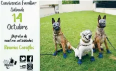  ??  ?? La Marina invita a la población a acudir a su sede de la CDMX para compartir un día con los perritos rescatista­s adiestrado­s en sus instalacio­nes.