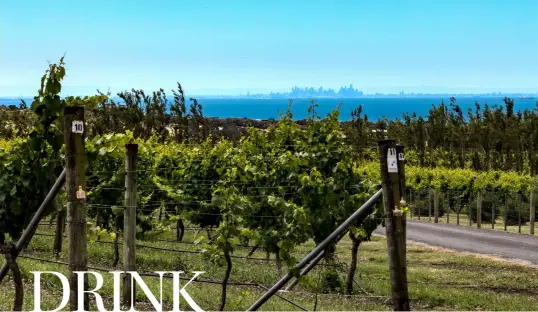  ??  ?? Above: The view of Melbourne through the Scotchmans Hill vines. Facing page (top to bottom):
The enticing cellar door at Bennetts on Bellarine; the garden outlook at Shadowfax.