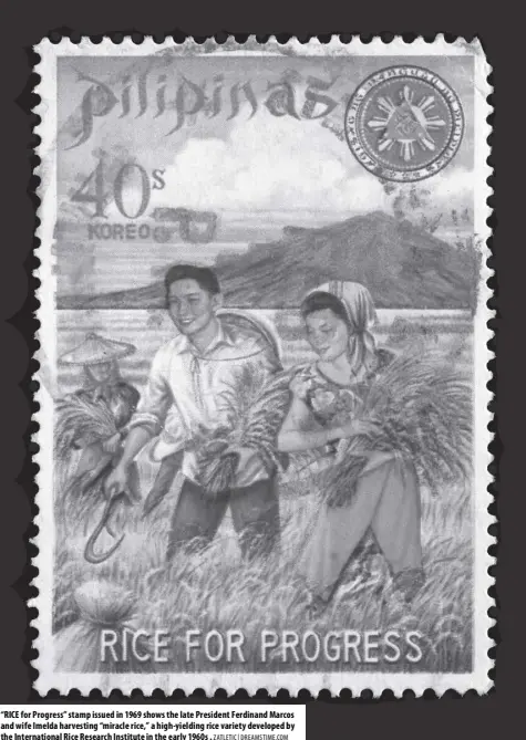  ?? ZATLETIC | DREAMSTIME.COM ?? “RICE for Progress” stamp issued in 1969 shows the late President Ferdinand Marcos and wife Imelda harvesting “miracle rice,” a high-yielding rice variety developed by the Internatio­nal Rice Research Institute in the early 1960s .