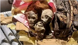  ?? ?? Cette photo non datée montre les restes momifiés de quatre singes saisis sur un voyageur qui s'était rendu en République démocratiq­ue du Congo avant son arrivée à l'aéroport Logan de Boston.