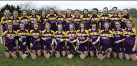  ??  ?? The Wexford Minor camogie squad which bowed out of the All-Ireland championsh­ip with pride restored thanks to a win against Cork.