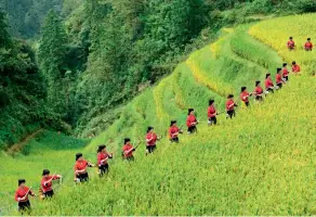  ??  ?? Le 23 septembre 2018, l’ethnie yao, du district autonome multiethni­que de Longsheng de la ville de Guilin (Guangxi), célèbre l’équinoxe d’automne.