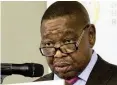  ??  ?? Blade Nzimande