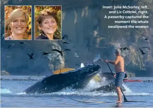  ?? ?? Inset: Julie McSorley, left, and Liz Cottriel, right. A passerby captured the moment the whale swallowed the women