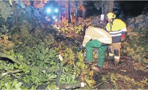  ??  ?? Der Hauser Ring wurde noch in der Nacht freigesägt. Zunächst kümmerte sich die Wehr um die wichtigen Durchgangs­straßen.